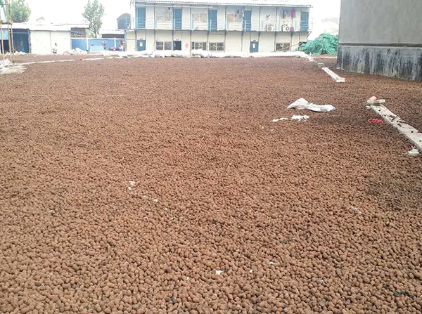 陶粒